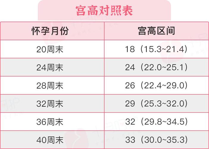 国内借卵试管代怀的成功率【国内借卵试管代怀成功率解析】