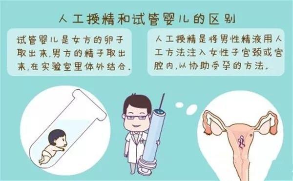借卵试管代怀什么意思(借卵试管代怀:解读其含义)