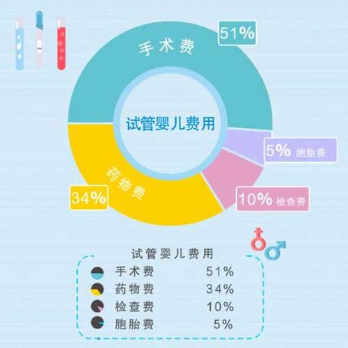 国内借卵试管代怀的全包费用-国内借卵试管代怀全包费用攻略