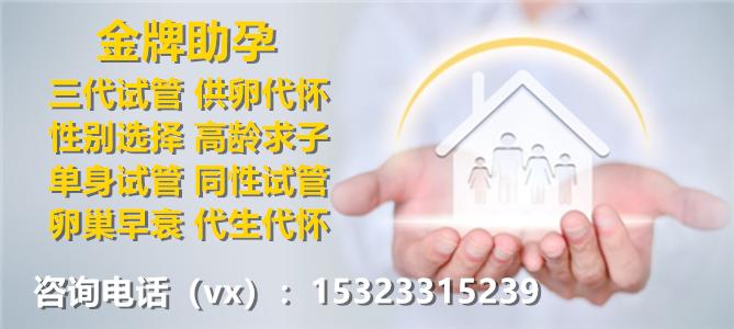 借卵试管代怀公司有哪些-借卵试管代怀公司有哪些服务?