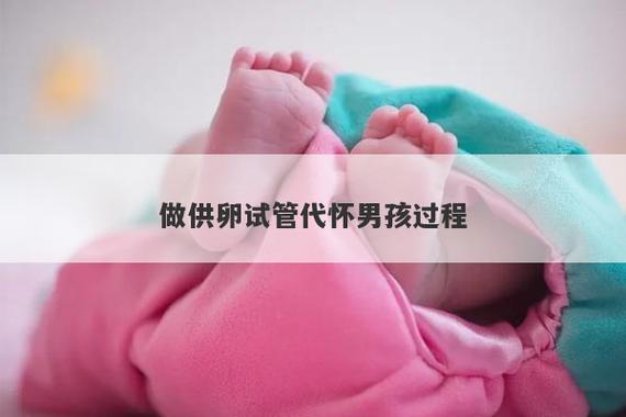 供卵试管代怀生子(供卵试管代怀生子:新生命的奇迹)
