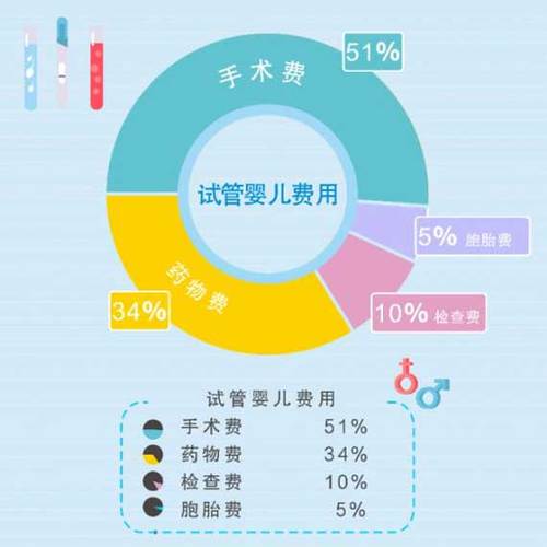 供卵试管代怀多少费用_供卵试管代怀费用查询及解析