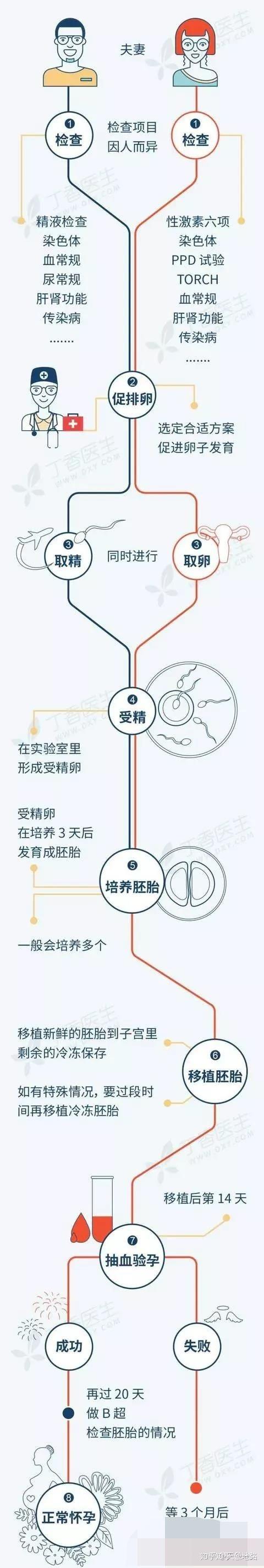 借卵怀孕可以吗【借卵怀孕是否合法？】