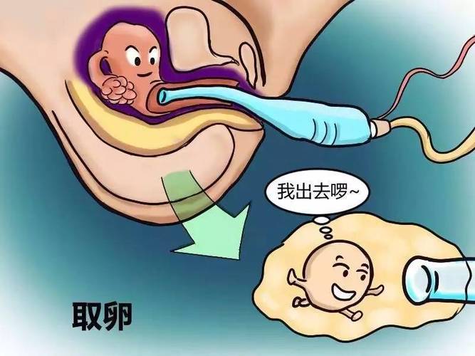 供卵试管代怀零风险(供卵试管代怀零风险：安心选择，健康孕育)