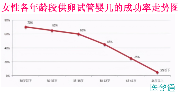 国内供卵试管代怀的成功率_国内供卵试管代怀成功率大揭秘