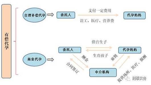 借卵试管代怀多少费用-借卵试管代怀费用多少？