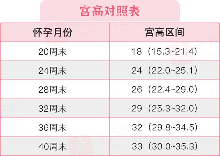 借卵试管代怀费用多少-借卵试管代怀费用如何确定